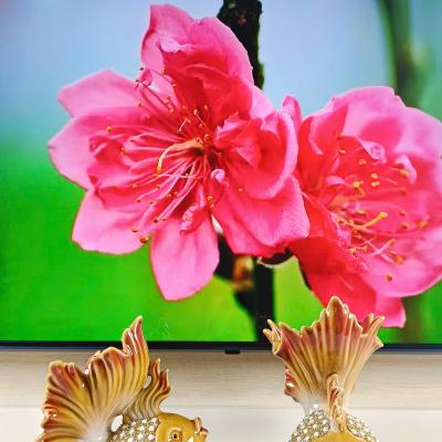 tượng cá, tượng cá bằng sứ, tượng trung quốc, sản phẩm trang trí nhà cửa